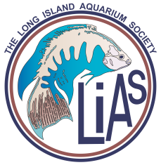 Long Island Aquarium Society
