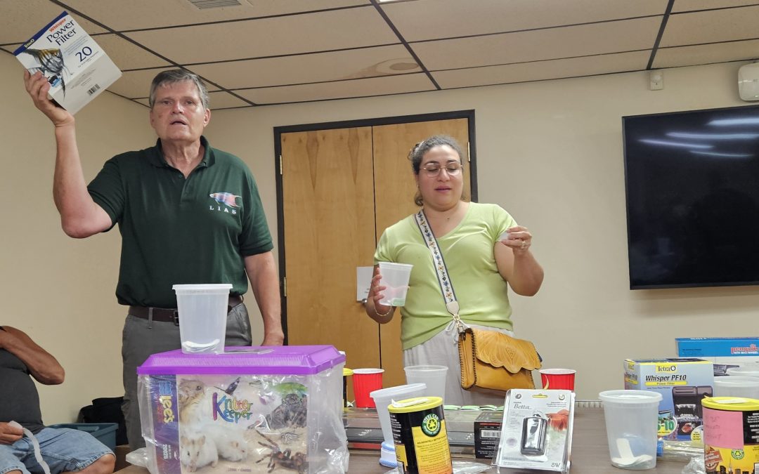 June 2025 Photos