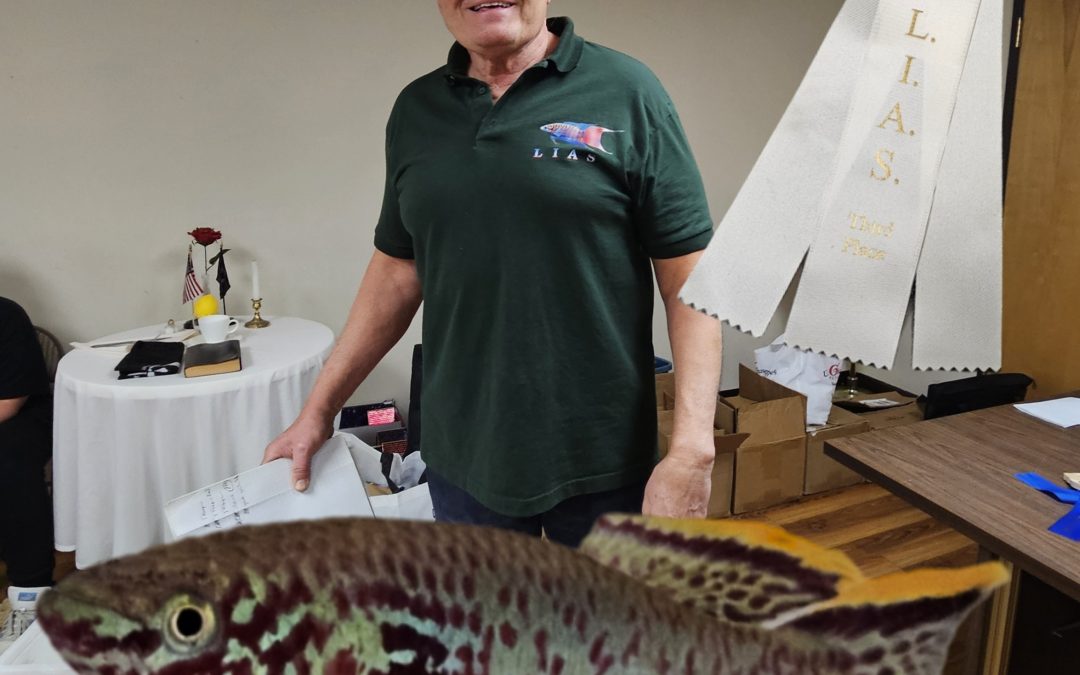 2025 Holiday Party Pictures